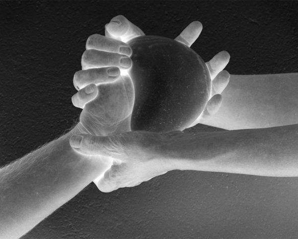 Día del DonanteDia del DonantDonor Day