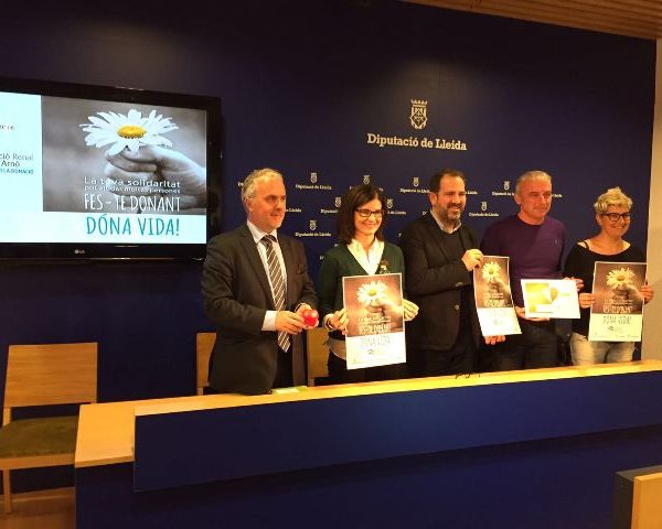 Chic Hair Bun Tutorial