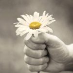 Lee más sobre el artículo LLEIDA PER LA DONACIÓ