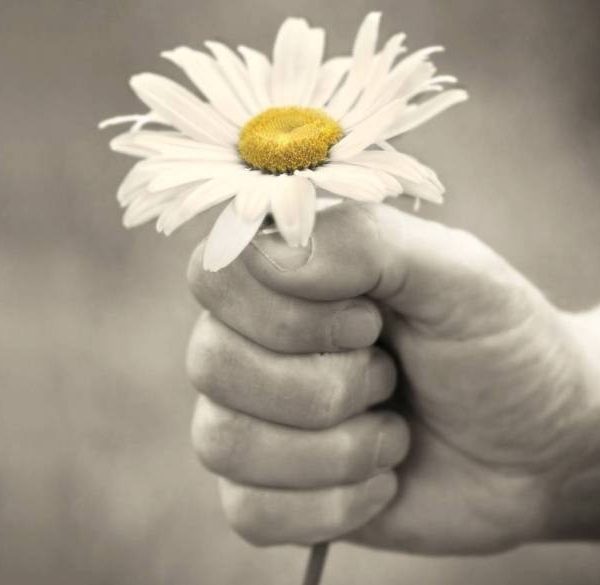 When In Paris Travel Update