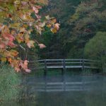 Lee más sobre el artículo Por qué apostar por la llamada “atención psicológica”