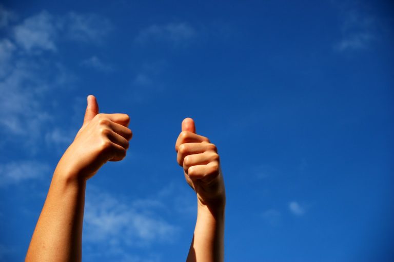 Lee más sobre el artículo Resilencia frente a resistencia