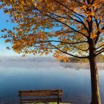 Lee más sobre el artículo Discapacidad y enfermedad renal crónica