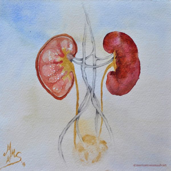 Día Mundial del Riñón 2021