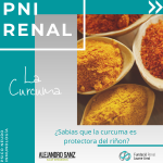 Lee más sobre el artículo PNI RENAL. CURCUMA