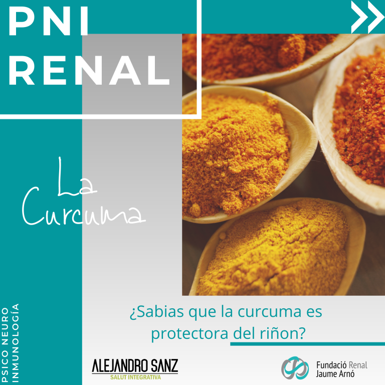 Més informació sobre l'article PNI RENAL. CÚRCUMA